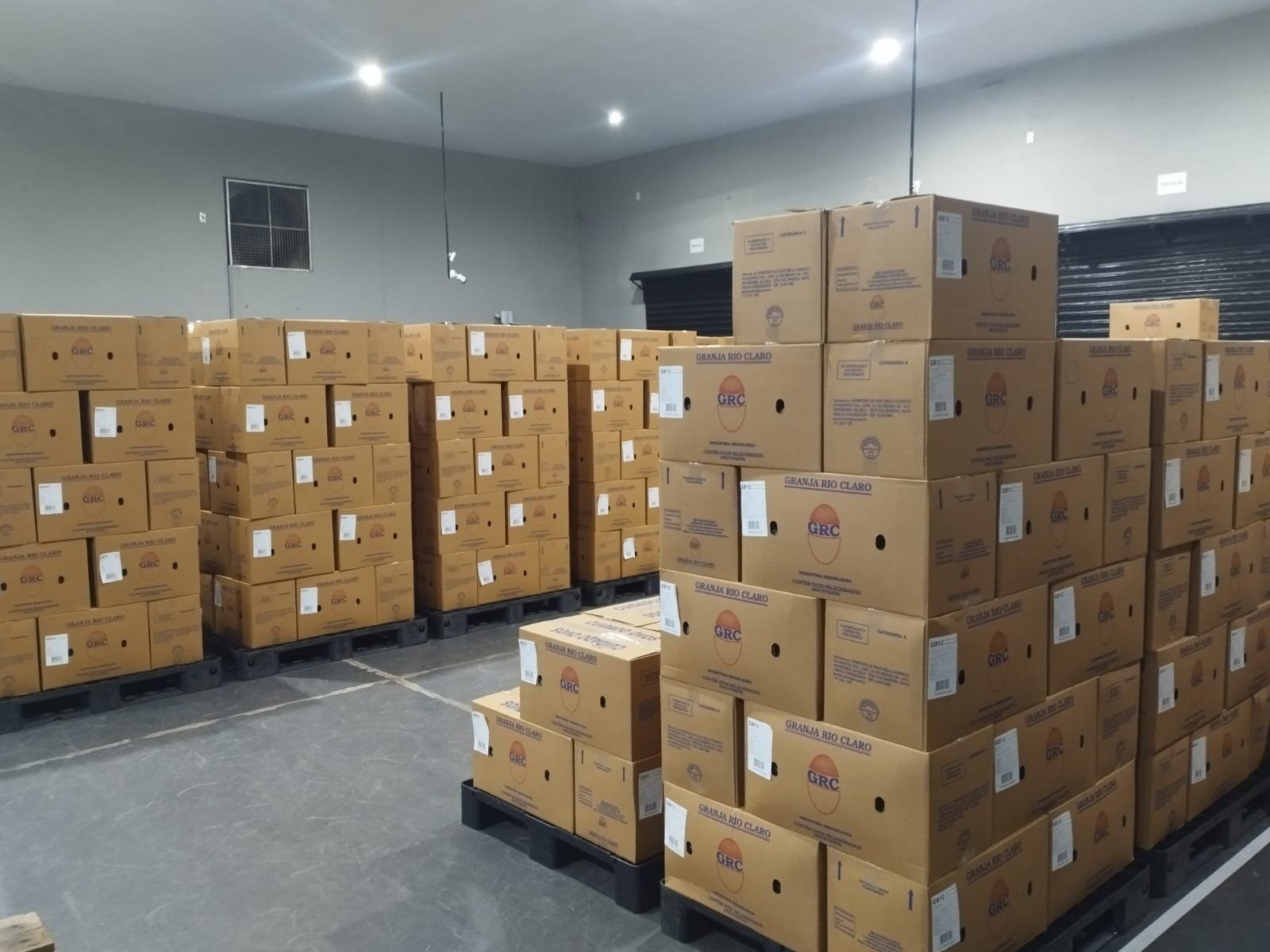 Estoque de caixas de ovos Distribuidora Rio Claro prontas para distribuição